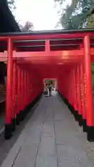 三光稲荷神社の鳥居