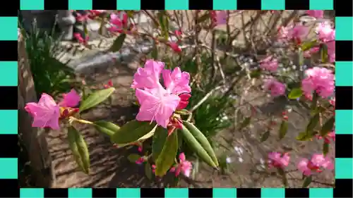 観音寺(千葉県)