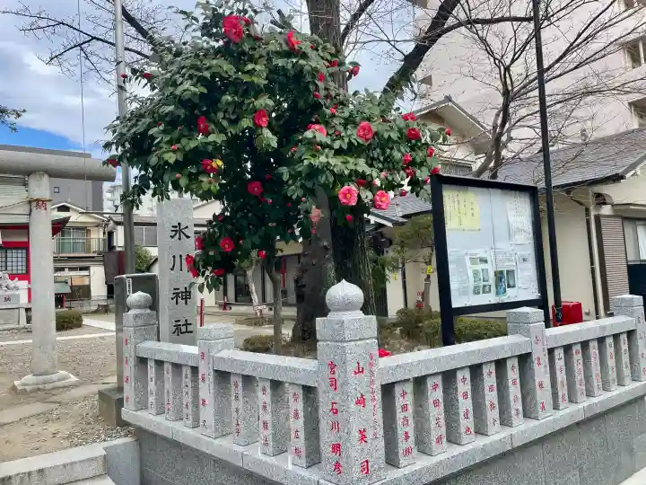 舟渡氷川神社の{uncategorized: "未分類", other: "その他", undefined: "問題あり", building: "その他建物", grave: "お墓", sacred_gate: "鳥居", guardian: "狛犬", statue: "像", buddha: "仏像", history: "歴史", nature: "自然", garden: "庭園", animal: "動物", pagoda: "塔", temizu: "手水舎", mountain_gate: "山門・神門", sanctuary: "本殿・本堂", subordinate: "末社・摂社", art: "芸術", scenery: "景色", jizo: "地蔵", ema: "絵馬", goshuin: "御朱印", omikuji: "おみくじ", items: "授与品その他", amulet: "お守り", goshuincho: "御朱印帳", eats: "食事", festival: "お祭り", votive_dance: "神楽", shichigosan: "七五三参", wedding: "結婚式", experience: "体験その他", initially: "初詣", around: "周辺", anti_infection: "感染症対策"}