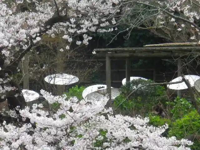 鶴岡八幡宮の自然