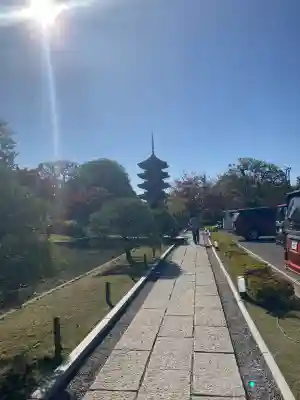 東寺（教王護国寺）(京都府)
