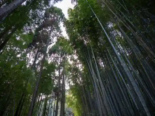 武雄神社の{uncategorized: "未分類", other: "その他", undefined: "問題あり", building: "その他建物", grave: "お墓", sacred_gate: "鳥居", guardian: "狛犬", statue: "像", buddha: "仏像", history: "歴史", nature: "自然", garden: "庭園", animal: "動物", pagoda: "塔", temizu: "手水舎", mountain_gate: "山門・神門", sanctuary: "本殿・本堂", subordinate: "末社・摂社", art: "芸術", scenery: "景色", jizo: "地蔵", ema: "絵馬", goshuin: "御朱印", omikuji: "おみくじ", items: "授与品その他", amulet: "お守り", goshuincho: "御朱印帳", eats: "食事", festival: "お祭り", votive_dance: "神楽", shichigosan: "七五三参", wedding: "結婚式", experience: "体験その他", initially: "初詣", around: "周辺", anti_infection: "感染症対策"}