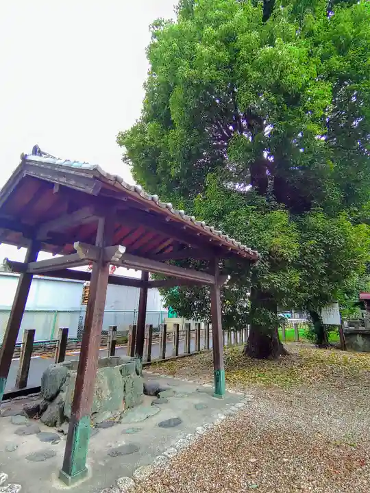 間黒神社(幸心)の手水舎