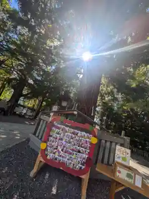 諏訪大社下社秋宮(長野県)