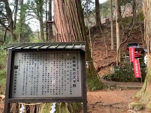 金櫻神社の歴史