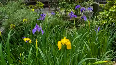 宝蔵寺(京都府)