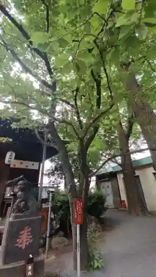 七社神社(東京都)