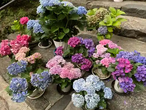 長谷寺(奈良県)