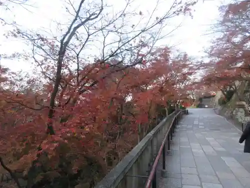 清水寺(京都府)