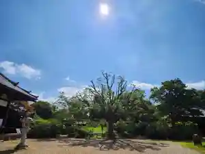 海龍王寺(奈良県)(2025年06月30日(月) 10時16分56秒投稿)