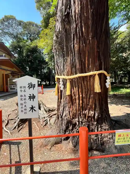 息栖神社(茨城県)