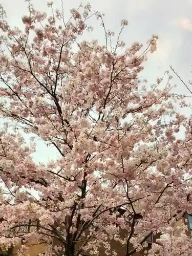 麻布氷川神社(東京都)