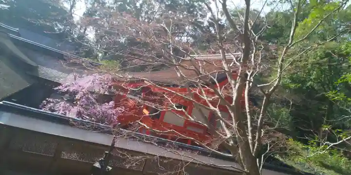 出雲大神宮のその他建物