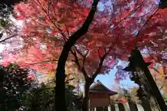 日吉神社の自然