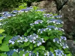 弓削寺(岐阜県)