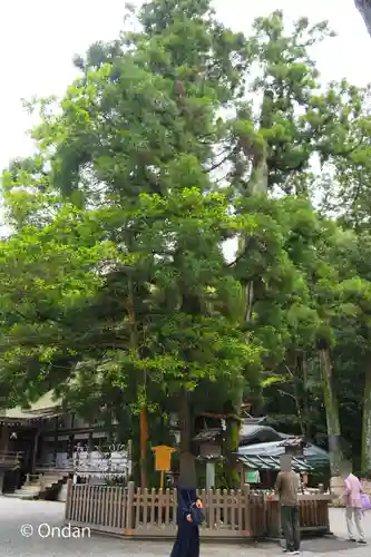 大神神社(奈良県)