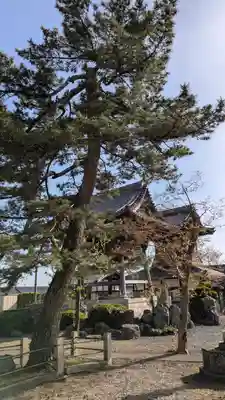 明楽寺(滋賀県)