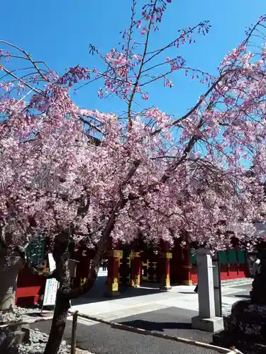 志波彦神社・鹽竈神社の自然