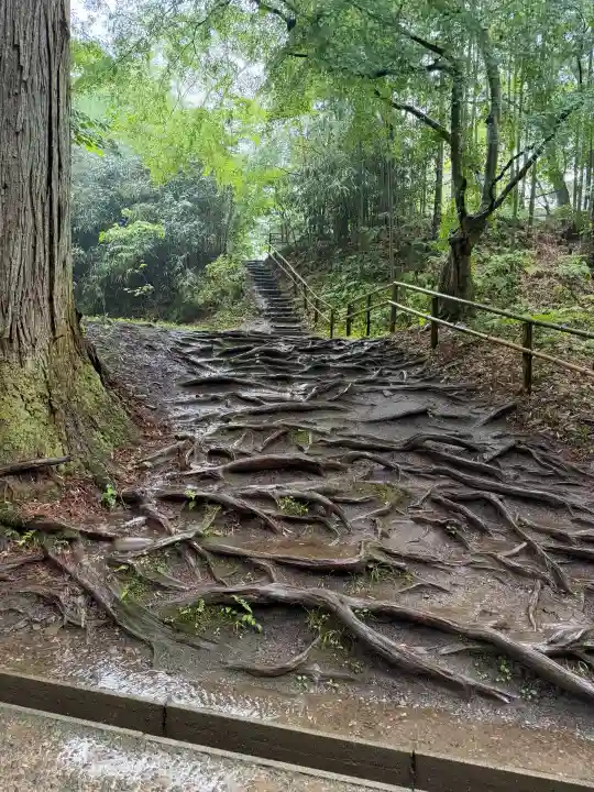 白山神社(岩手県)