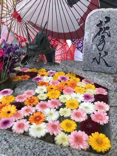 札幌諏訪神社の手水舎