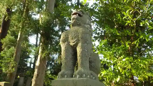 豊景神社の狛犬