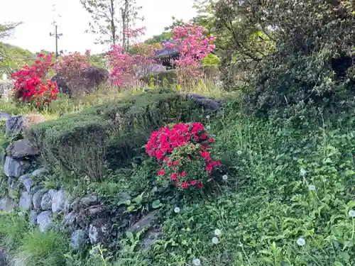 大光普照寺(埼玉県)
