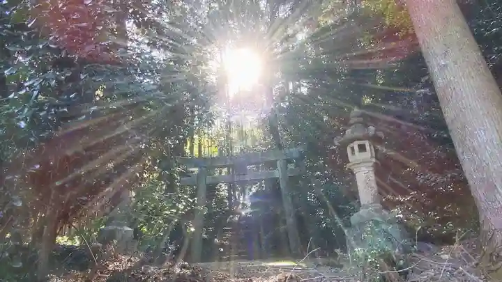 石鎚神社 口之宮 本社(愛媛県)
