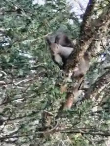 茂岩神社(北海道)(2022年12月07日(水) 23時41分00秒投稿)