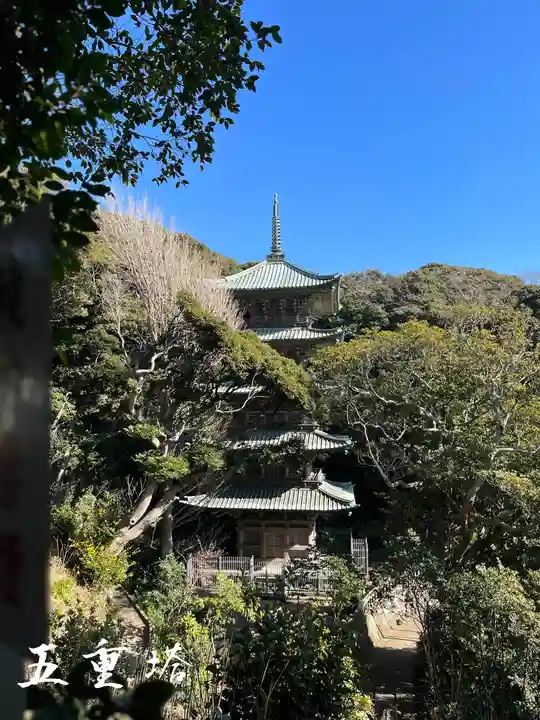 龍口寺(神奈川県)