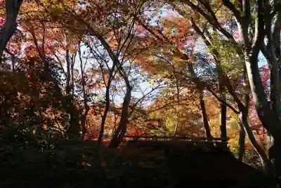 祇王寺(京都府)
