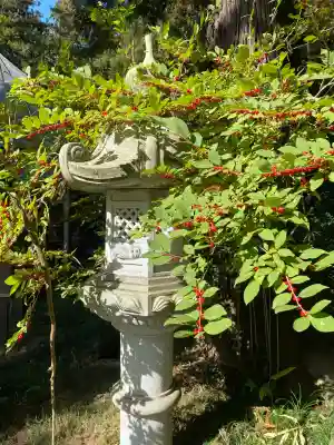 光丸山 法輪寺(栃木県)