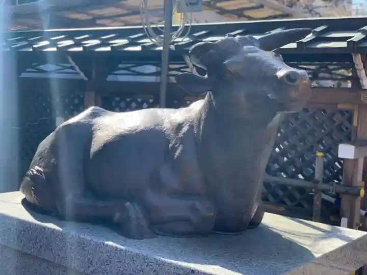 湯島天満宮の狛犬