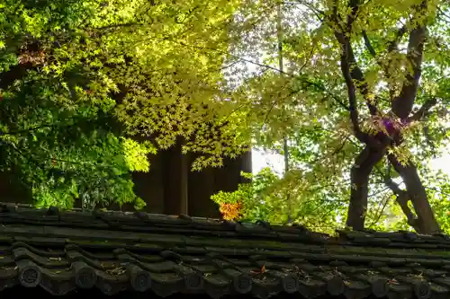 武水別神社(長野県)