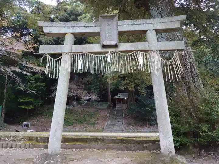 白山神社の鳥居