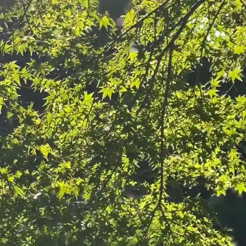 伊勢の国 四天王寺(三重県)