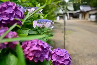 鎌数伊勢大神宮(千葉県)