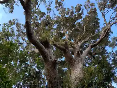 松尾神社(千葉県)