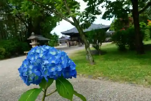 大安寺の庭園