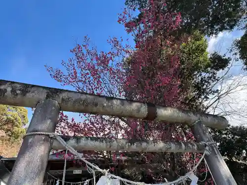 賀茂別雷神社(栃木県)