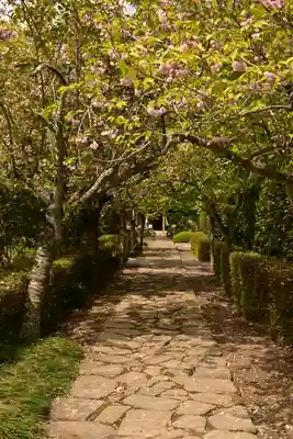菊水寺(埼玉県)