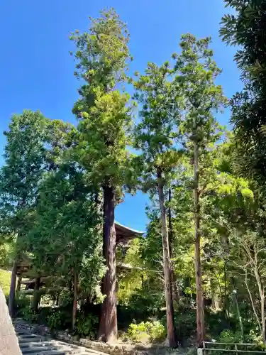 円覚寺(神奈川県)