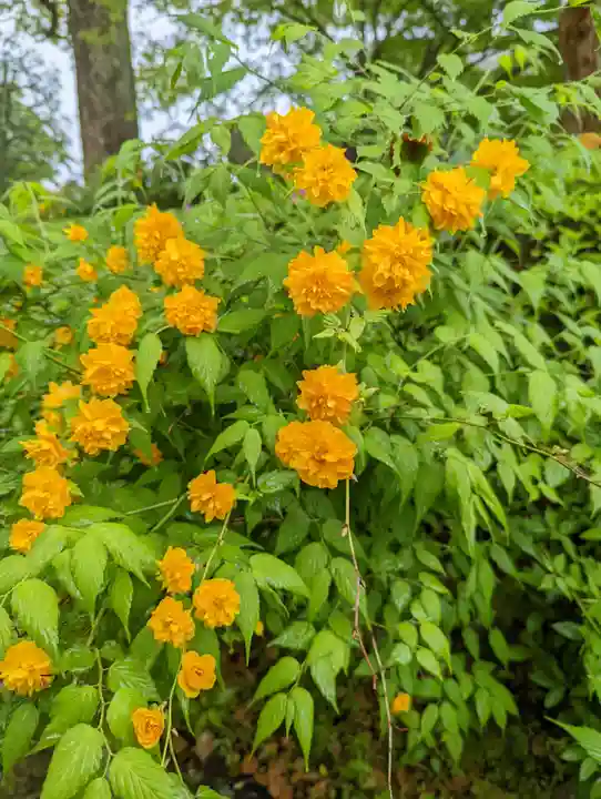 平等院(京都府)