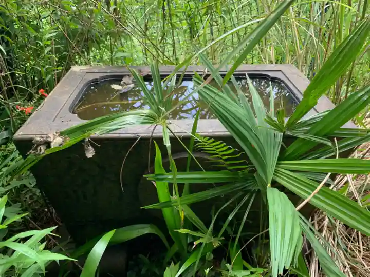 大山祇神社の手水舎