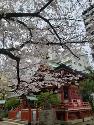 秋葉神社(東京都)