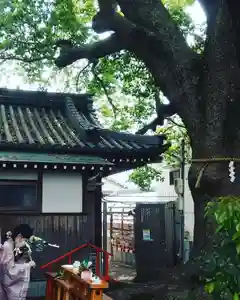 阿保神社(大阪府)(2023年04月22日(土) 16時21分11秒投稿)