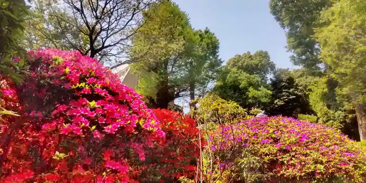 根津神社(東京都)