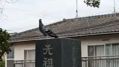 常立寺の動物