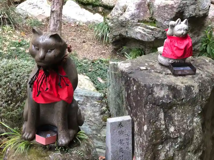 お松大権現の狛犬