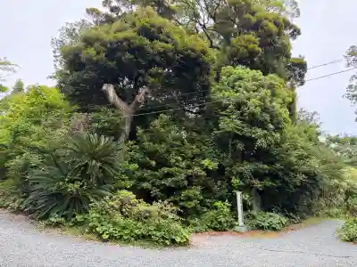 秋葉總本殿可睡斎(静岡県)