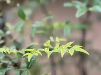 西方山極楽寺(岐阜県)
